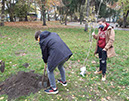 %_tempFileName20201103_102723%