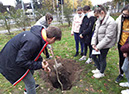 %_tempFileName20201103_104044%