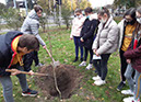 %_tempFileName20201103_104048%