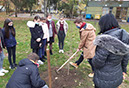 %_tempFileName20201103_104421%
