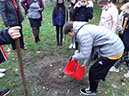 %_tempFileName20201103_105034%
