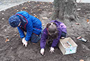 %_tempFileName20201104_145415%20(1)%