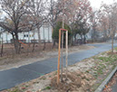 20211118_151531, indítókép