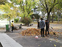 %_tempFileName6.b%2010%