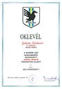 oklevél - 6. évfolyam 01