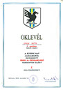oklevél - 6. évfolyam 03