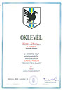 oklevél - 7. évfolyam 02
