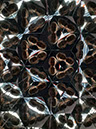 %_tempFileName384203644_7979885885392282_8922187773924204091_n%