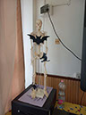 %_tempFileName6.b%2003%