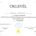 SKMBT_C25324032711571